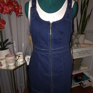 Plus size denim dress